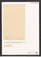 Surirella kittoniana A. Schm. (de-Toni-Nr.: Genus 53, Species 2369) Zeichnungen Sammlung Grunow (NHMW-BOT-W0372900)